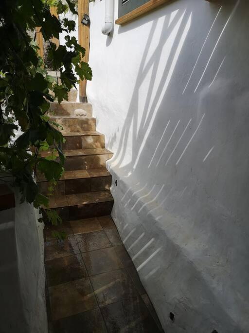 Souterrain Fuer Max 2 P., Bad, Aussenkueche, Garten Ґуімар Екстер'єр фото